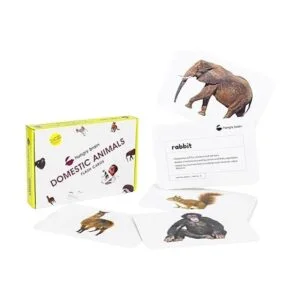 hungry brain Tarjetas de aprendizaje temprano para niños_2