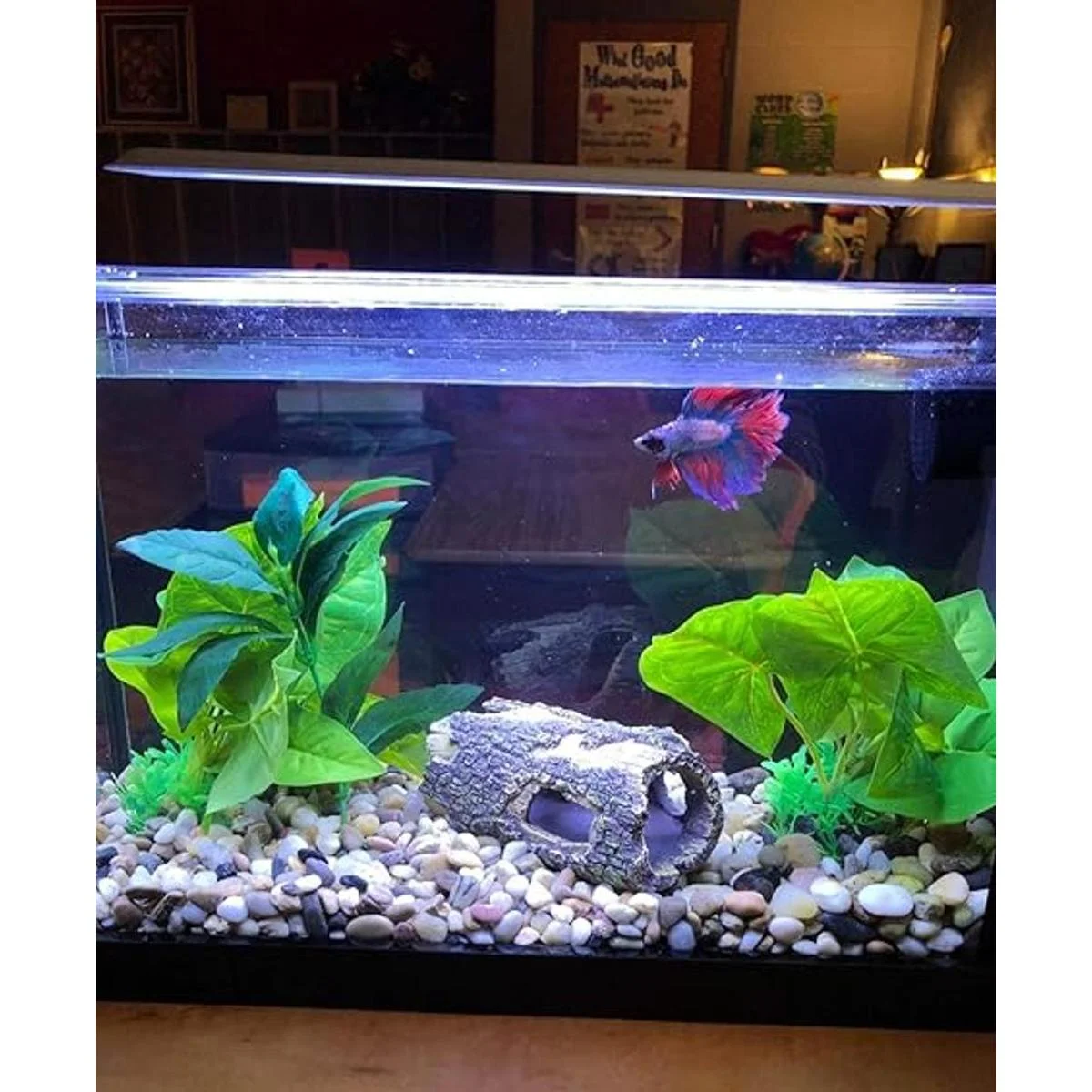 hygger Betta Log Adorno hueco de resina para tronco