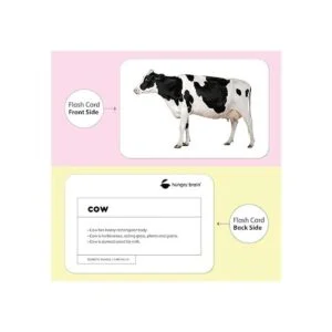 hungry brain Tarjetas de aprendizaje temprano para niños_5