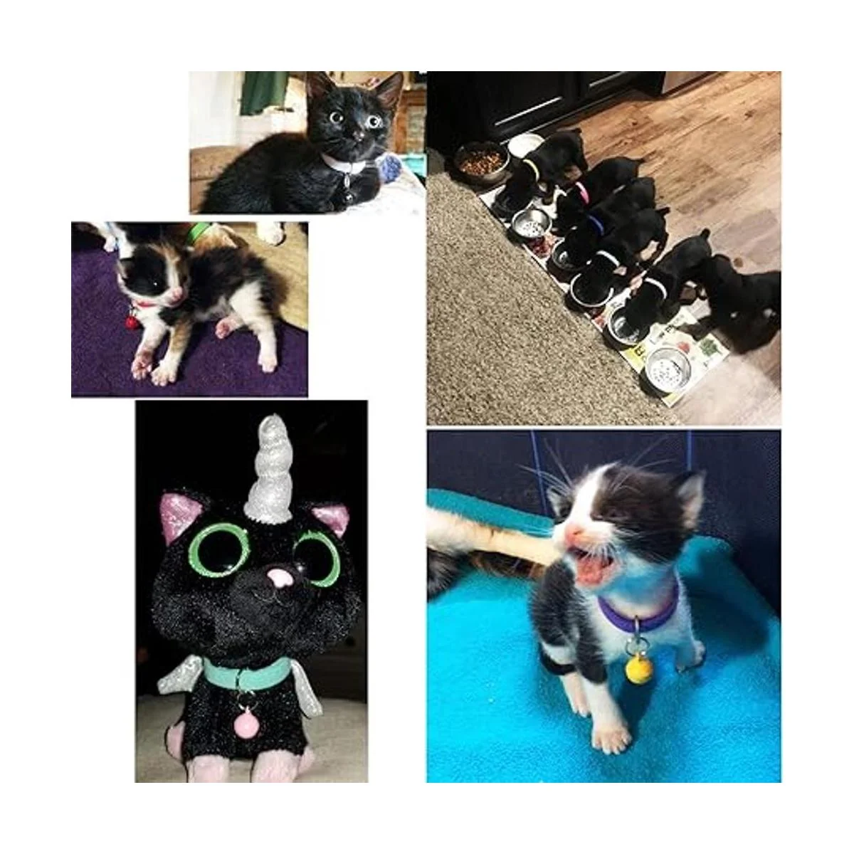 honbay 14 largo bandas de velcro ajustable Cachorro ID