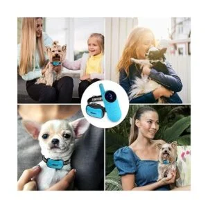 eXuby Collar pequeño de choque para perros pequeños de 5