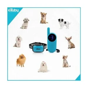 eXuby Collar pequeño de choque para perros pequeños de 5