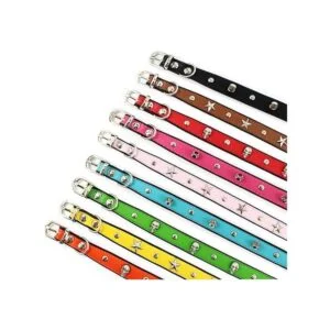 diseño personalizado calaveraremacheestrella cachorros_3