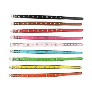 diseño personalizado calaveraremacheestrella cachorros_2