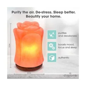 daplomb Lámpara de sal del Himalaya 100 auténtica flor_3