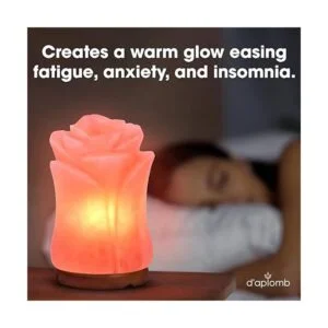 daplomb Lámpara de sal del Himalaya 100 auténtica flor_2