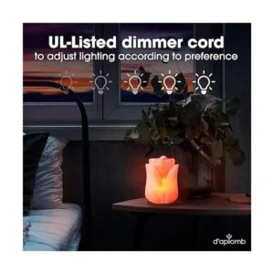 daplomb Lámpara de sal del Himalaya 100 auténtica flor_4