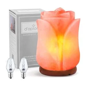 daplomb Lámpara de sal del Himalaya 100 auténtica flor_1