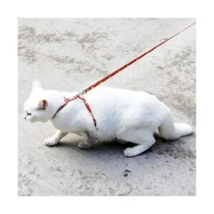 azuza Arnés de gato y correa para caminar a prueba de_3