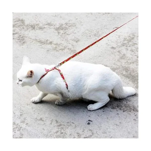 azuza Arnés de gato y correa para caminar a prueba de_3