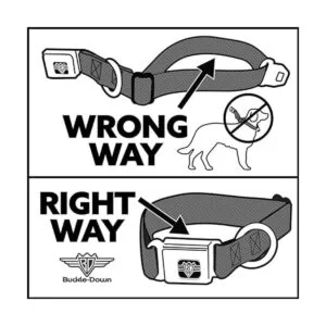 buckledown dcwdy295l dybf Princesa Gem Close perro collar