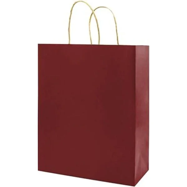 bagmad Paquete de 100 bolsas de regalo multicolor de color_4