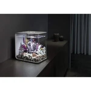 biOrb Feng Shui Pebble Pack_3