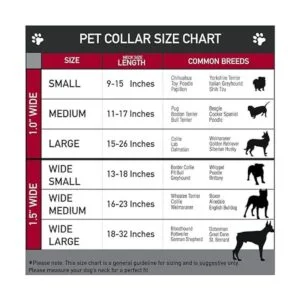 buckledown dcwdy295l dybf Princesa Gem Close perro collar