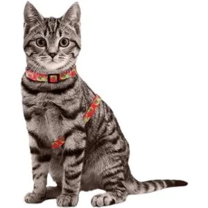 azuza Arnés de gato y correa para caminar a prueba de_4