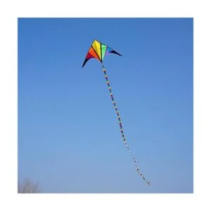 besra 110 inch arco iris Delta Cometa con Windsock 10 m_5
