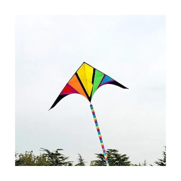 besra 110 inch arco iris Delta Cometa con Windsock 10 m_6