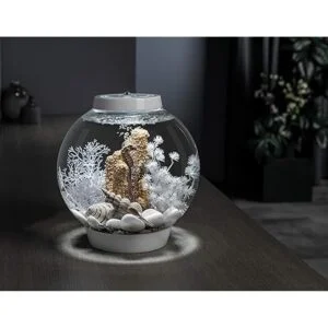 biOrb Feng Shui Pebble Pack_2