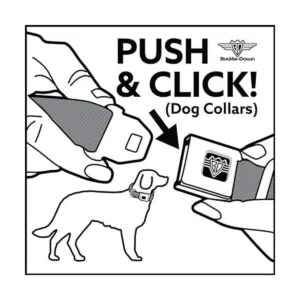 buckledown dcwdy295l dybf Princesa Gem Close perro collar