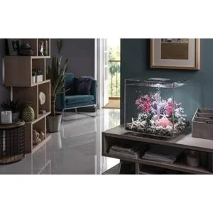 biOrb Feng Shui Pebble Pack_4