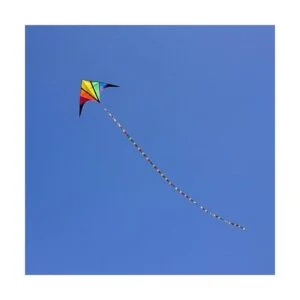 besra 110 inch arco iris Delta Cometa con Windsock 10 m_2