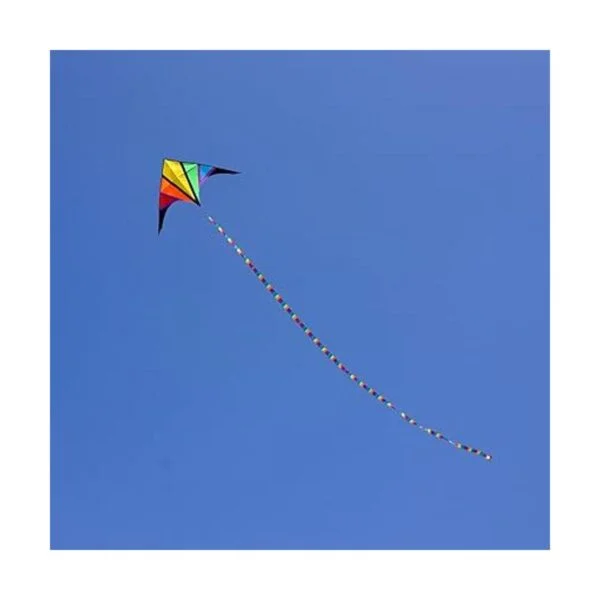 besra 110 inch arco iris Delta Cometa con Windsock 10 m_2