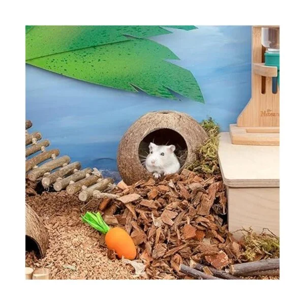andwe Cama de casa de hámster de coco para jerbos_2