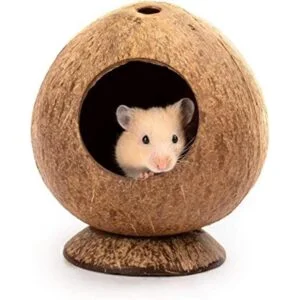 andwe Cama de casa de hámster de coco para jerbos_1