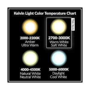 6 Pack Simba iluminación LED clásico Filamento ST21