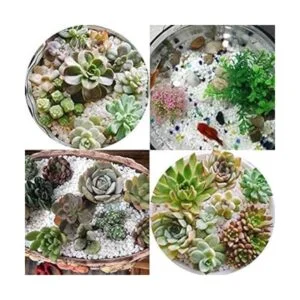 18 libras guijarros blancos acuarios grava río roca