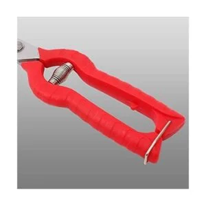 Zsling Tijeras de podar de acero inoxidable de borde extra_3