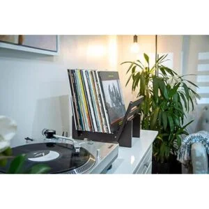 ZonsWorld Almacenamiento de discos de vinilo Muestra