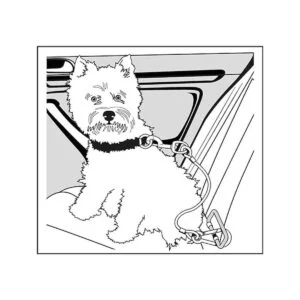 Zinco Correa de automóvil para perro sistema de amarre_4