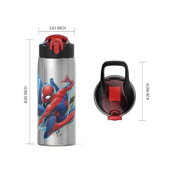 Zak Designs Botella de agua de acero inoxidable de 27