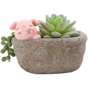 Youfui Maceta de decoración del hogar maceta suculenta_6