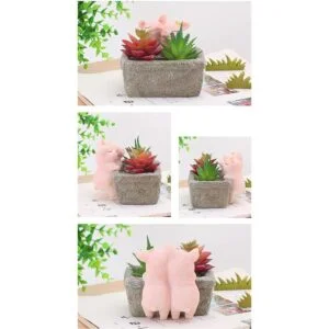 Youfui Maceta de decoración del hogar maceta suculenta_3