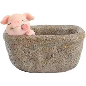 Youfui Maceta de decoración del hogar maceta suculenta_4