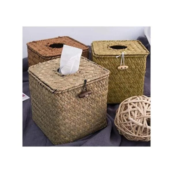 Yesland Paquete de 2 cajas cuadradas de pañuelos faciales