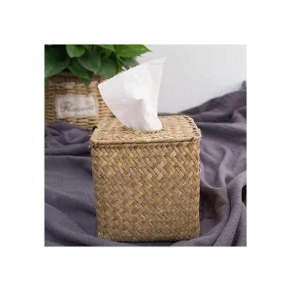 Yesland Paquete de 2 cajas cuadradas de pañuelos faciales