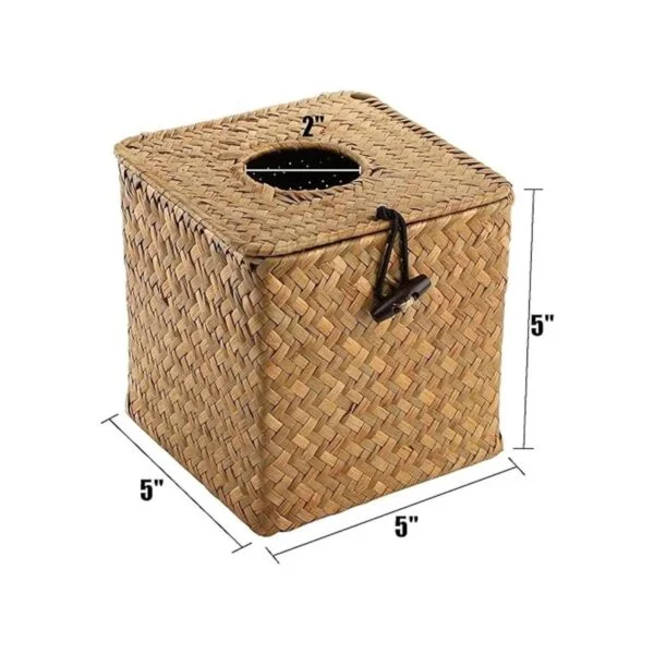 Yesland Paquete de 2 cajas cuadradas de pañuelos faciales