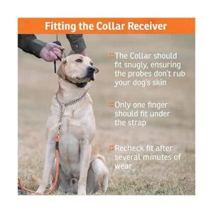 YardTrainer 300 Entrenador remoto rango de 300_4