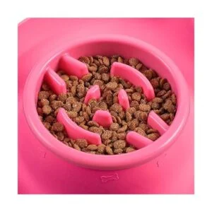 Yacee Pet Dog Bowls2 Stainless Steel XXL Dog