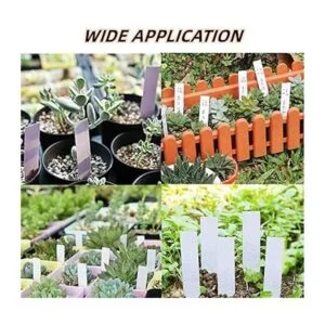 YaeCCC 1000 etiquetas de plástico para plantas de 3.9 in_3