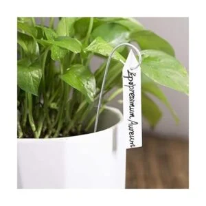 YaeCCC 1000 etiquetas de plástico para plantas de 3.9 in_4