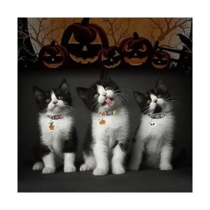 YUEPET 3 collares para gatos con campana calavera