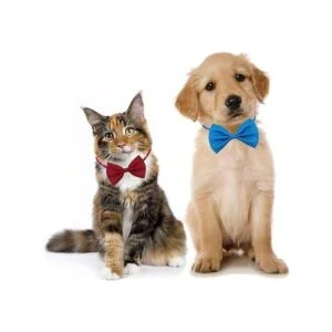 YUEPET 20 lazos para perros y mascotas ajustable 20