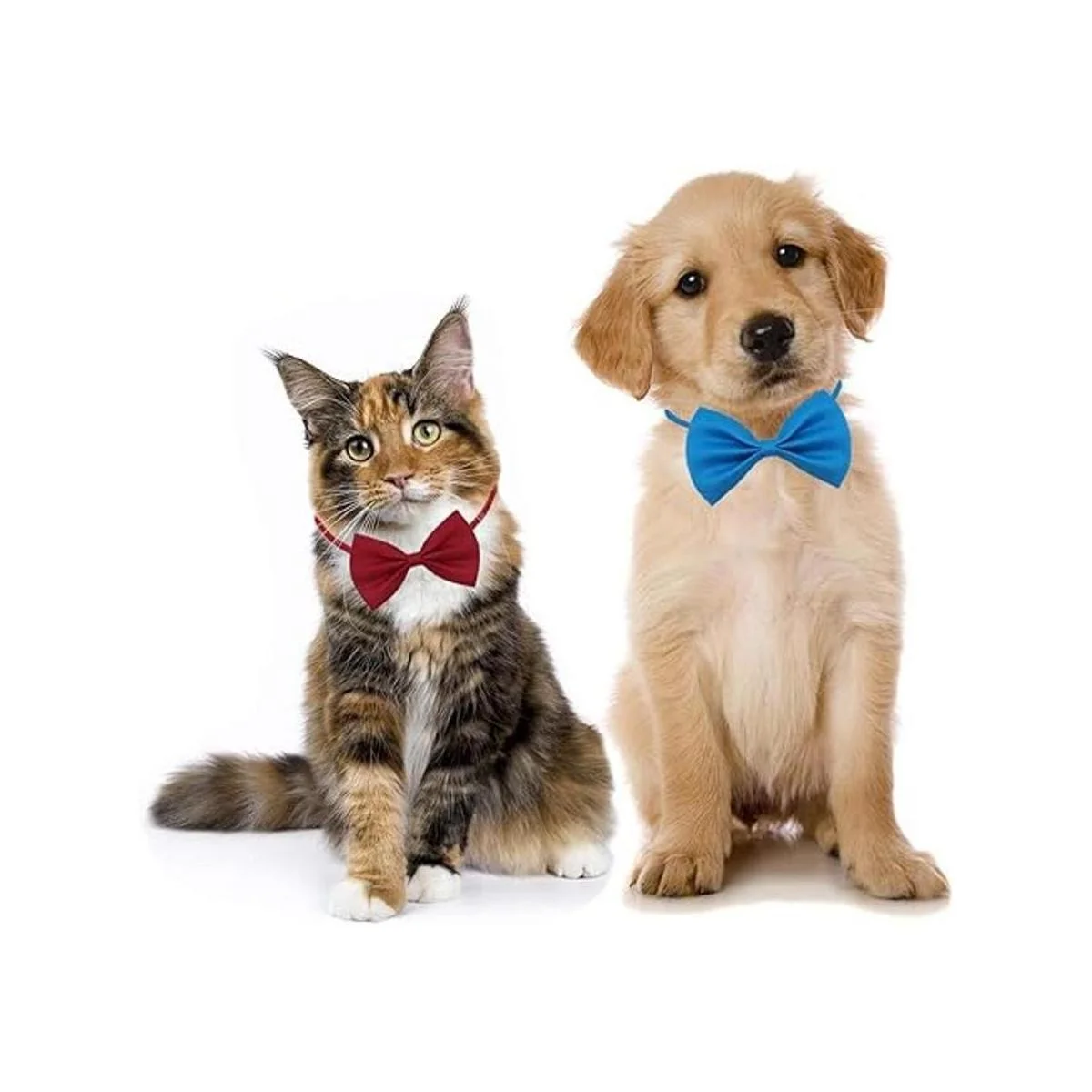 YUEPET 20 lazos para perros y mascotas ajustable 20