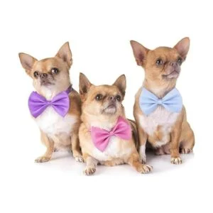 YUEPET 20 lazos para perros y mascotas ajustable 20