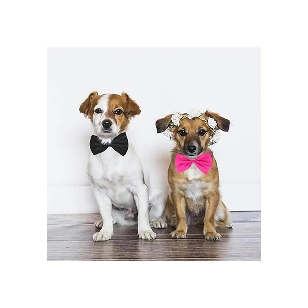 YUEPET 20 lazos para perros y mascotas ajustable 20