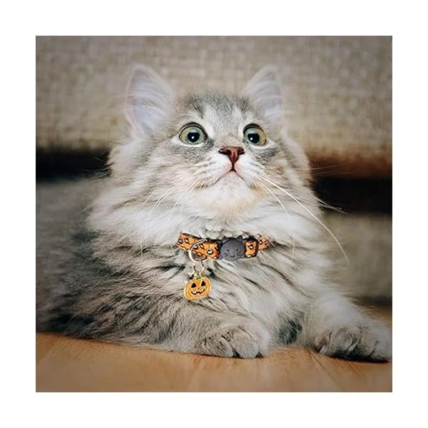 YUEPET 3 collares para gatos con campana calavera